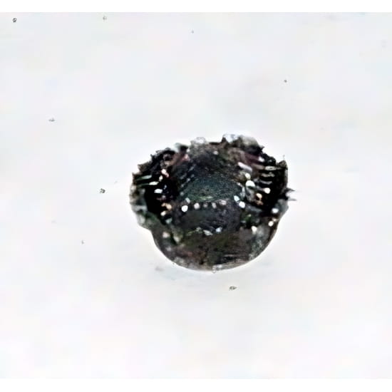 082%2D187